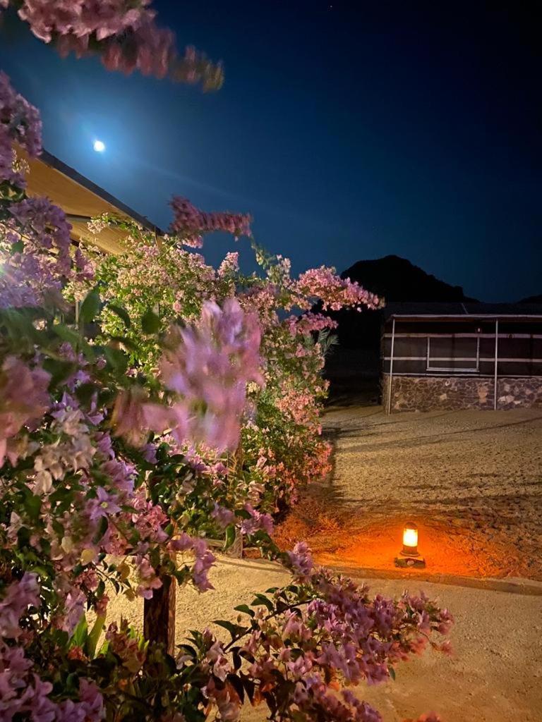מלון וואדי רם Moon Night Camp מראה חיצוני תמונה